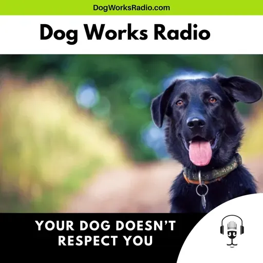 Your Dog Doesn't Respect You… Or Do They? The Truth About Dog Training and Behavior