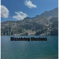 Dissolving Illusions