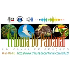 Tribuna do Pantanal