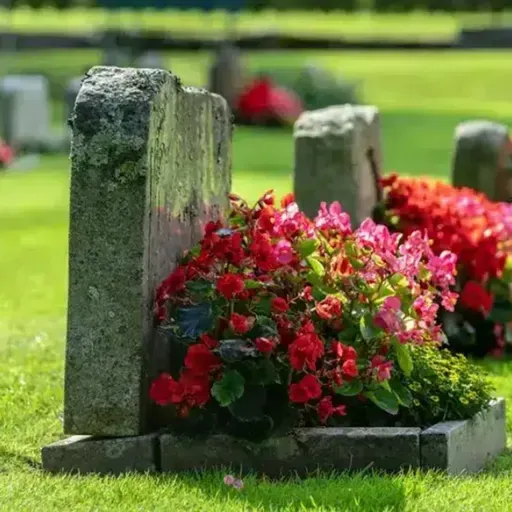 دسته های گل بر مزارهای بی نشان