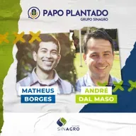 Se chover, não precisa molhar a horta!