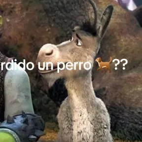 PR5385