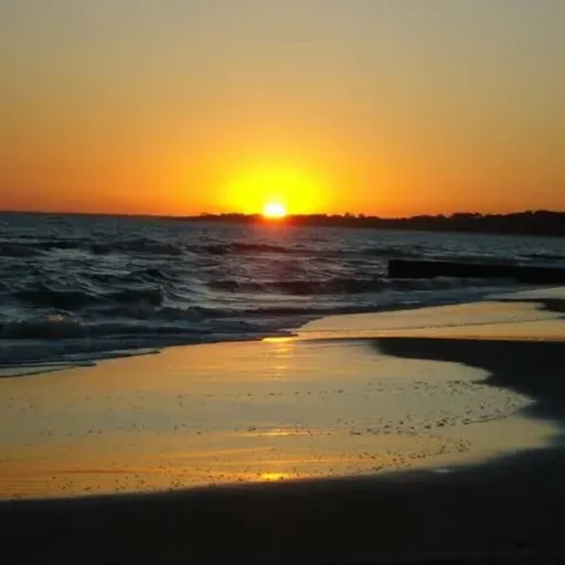 Por qué mis semillas no prosperan?