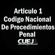 Articulo 1 Código Nacional de Procedimientos Penal