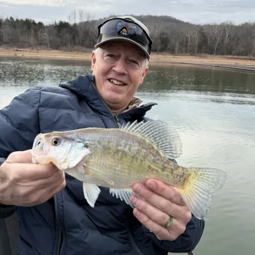 229: Kyle Carroll at Taneycomo/ Justin Bruehl at NWTF