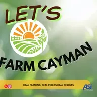 🌱 Let's Farm Cayman – Episode 1 | Building Food Security in the Cayman Islands 🌱