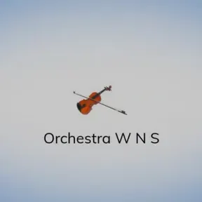 ORCHESTRA WNS