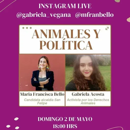 Animales y Política con María Francisca Bello y Gabriela Acosta