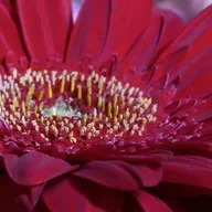 Áudio do WhatsApp de 2023-09-03 à(s) 22.40.47.mp3