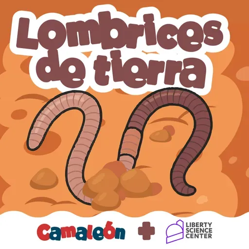 Lombrices de Tierra
