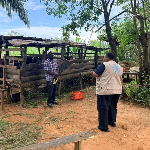 Tanzania: FAO na wadau 'wawanoa' maafisa misitu ili kudhibiti uvunaji haramu wa mazao ya misitu