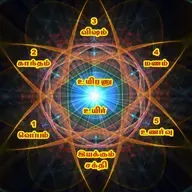 உயிரின் செயலாக்கங்கள்