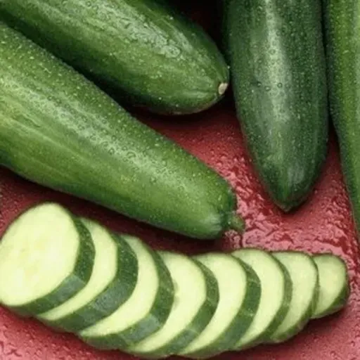 खीरा- ककड़ी के निर्यात में भारत दुनिया में नंबर वन 🔊