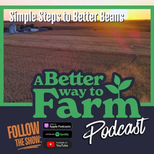 329: Simple Steps to Better Beans