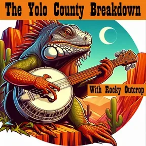 The Yolo County Breakdown