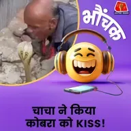 सोशल मीडिया पर वायरल वीडियो में दिखा चाचा का कारनामा, किया सांप को लिपलॉक| भौंचक