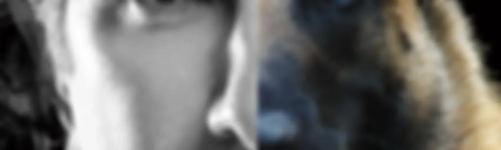 Canine Conversations - Dog Training Podcast