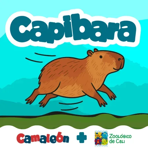 Capibaras: calma en los humedales