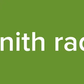 Zenith radio