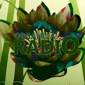 Radio Orgánica