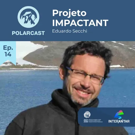 Eduardo Secchi: Projeto IMPACTANT