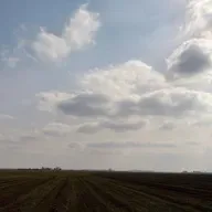 #381. Mektûba Guhdar Berîl: Kobanî û Araksî