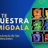 348. De la explosión a la autorregulación: Cómo entrenar tu inteligencia emocional