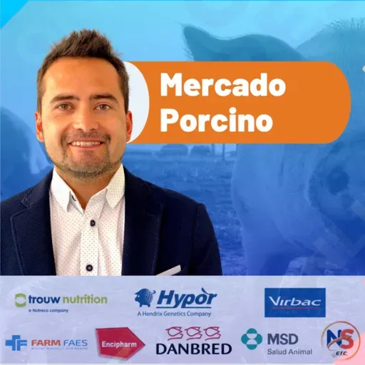 Semana 1 - 2025 | Los 6 hitos que marcaron la porcicultura en 2024