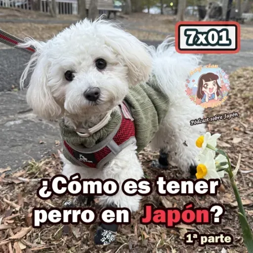 7x01 ¿Cómo es tener perro en Japón? - Te cuento mi experiencia