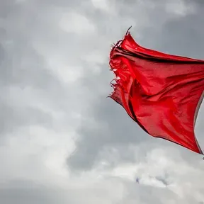 RedFlag