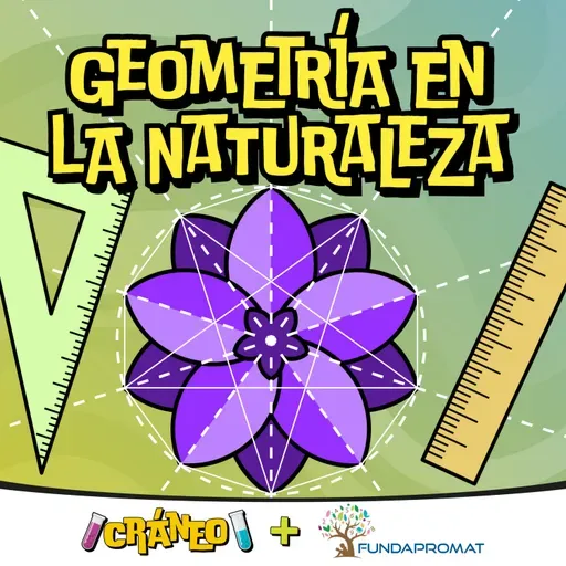 Geometría en la naturaleza