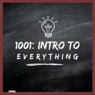 History of Capitalism and Energy in the US | 1001: Intro to Everything podcast #18 with Sean Adams