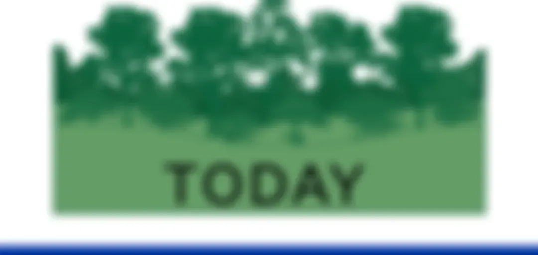 From the Woods Today