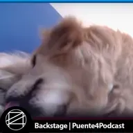 El Backstage: Ogame, Drizzt y Kira - Episodio exclusivo para mecenas