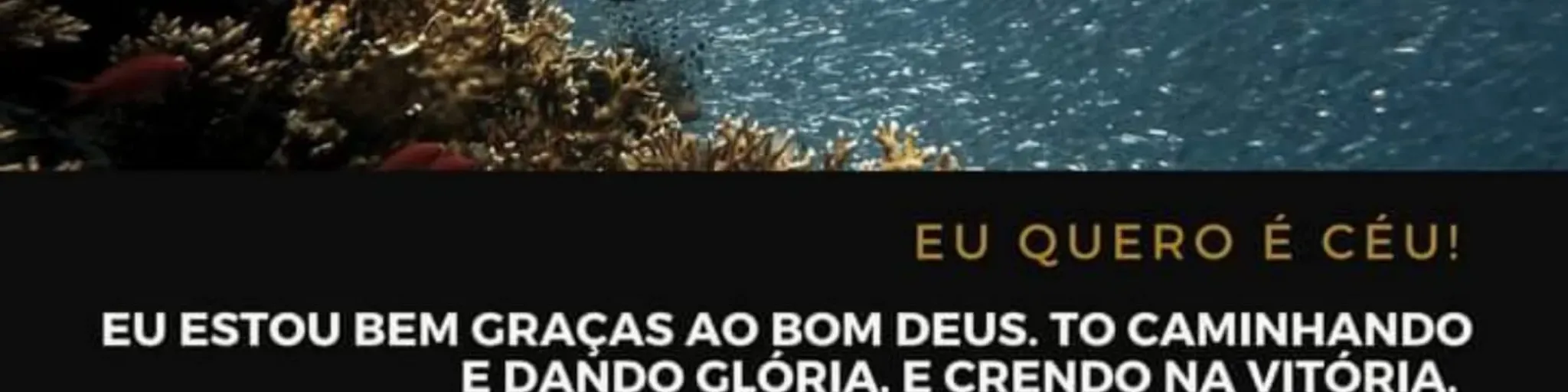 Eu Quero é Céu