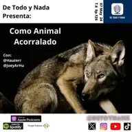 T6 E126 Como animal acorralado