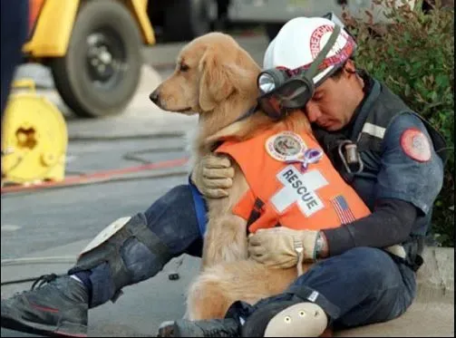 OUR CANINE HEROES (PT 2 OF 2) A DOG'S JOB IS NEVER DONE