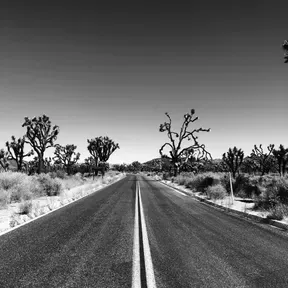 Rock playlist