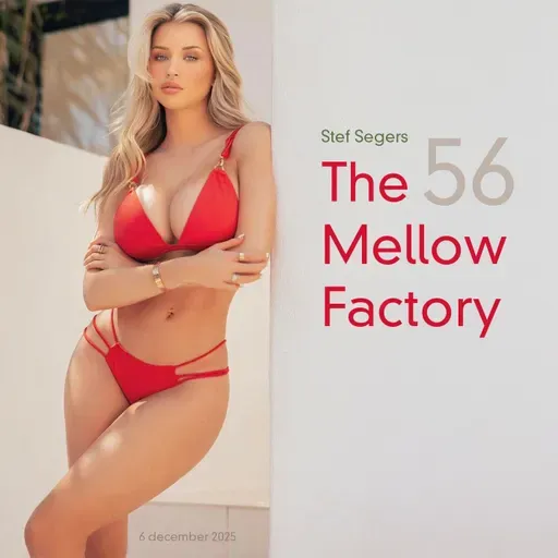 174 Stef Segers - The Mellow Factory 56