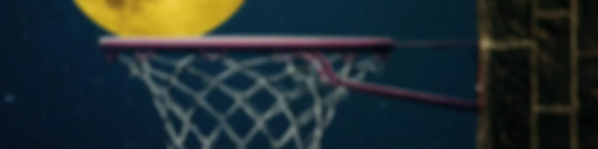 Basketbol Fakültesi