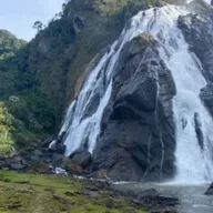 O que são Unidades de Conservação e quais estão presentes no ES!
