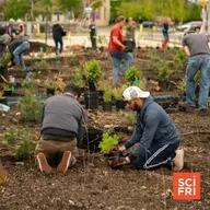 Into the Woods, From Chestnut Genetics To Tiny Forests