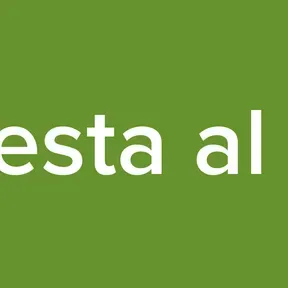 De Fiesta al 2022