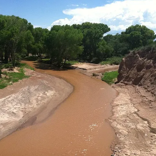 Ep. 553 - Soil Microbes & Desert Plant Restoration