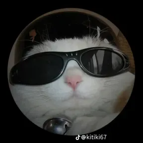 Funk Brasileño