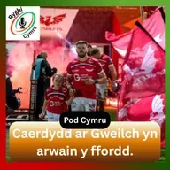 Caerdydd ar Gweilch yn arwain y ffordd.