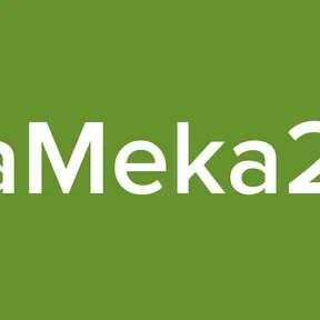 LaMeka29