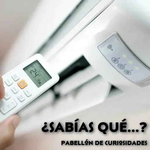 ¿Sabías qué...?