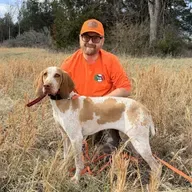 235: Bird Dog Training with Fleming Farm and Kennels