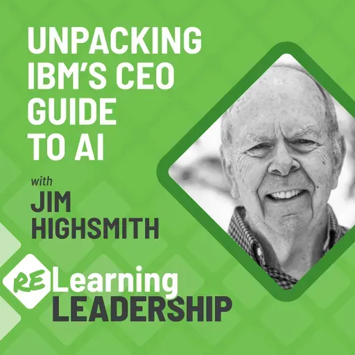 57: Unpacking IBM's CEO Guide to AI